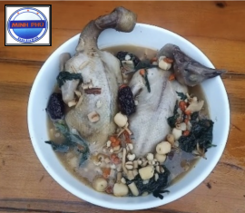 Bồ câu tiềm thuốc Bắc