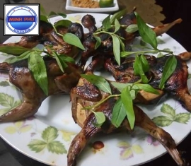 Cu đất nướng y