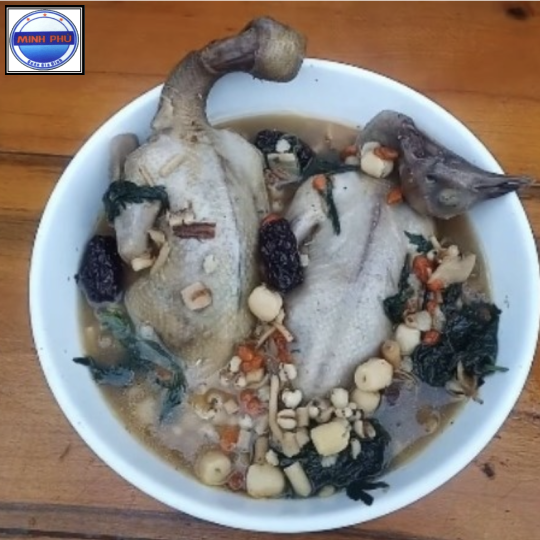 Bồ câu tiềm thuốc Bắc
