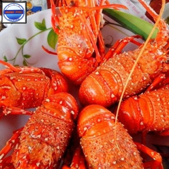 Tôm hùm bông hấp bia \ nước dừa